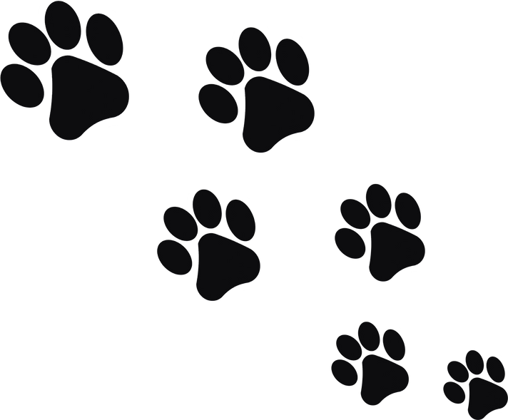 Dog Paw Prints Illustration 